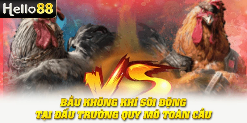 Bầu không khí sôi động tại đấu trường quy mô toàn cầu