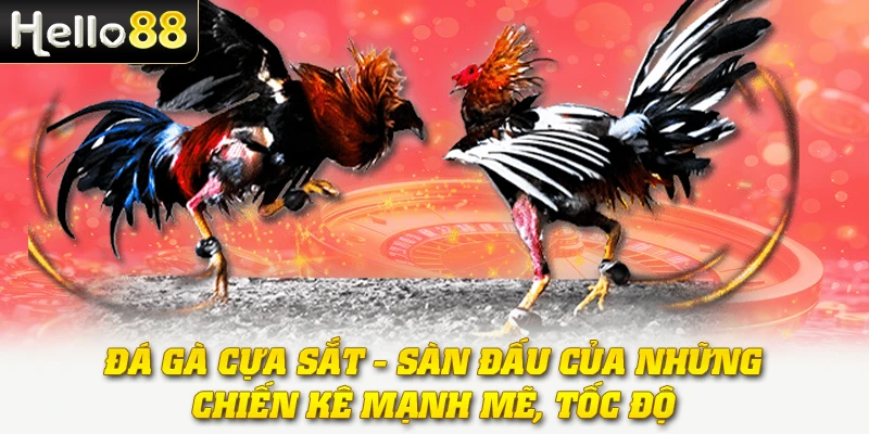 Đá Gà Cựa Sắt - Sàn Đấu Của Những Chiến Kê Mạnh Mẽ, Tốc Độ 1 Đá Gà Cựa Sắt - Sàn Đấu Của Những Chiến Kê Mạnh Mẽ, Tốc Độ