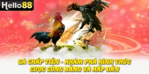 Gà Chấp Tiền - Khám Phá Hình Thức Cược Công Bằng Và Hấp Dẫn