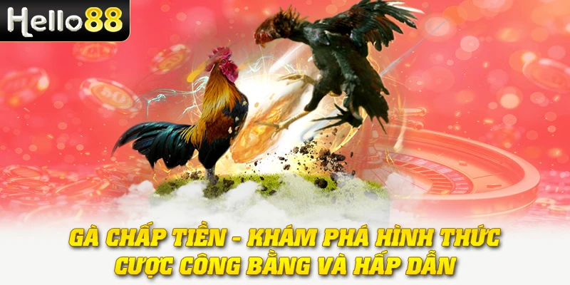 Gà Chấp Tiền - Khám Phá Hình Thức Cược Công Bằng Và Hấp Dẫn