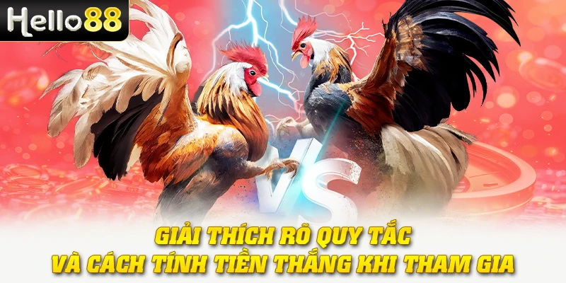 Đá Gà Chấp Tiền - Hình Thức Cược Đầy Kịch Tính Tại Hello88 2 Giải thích rõ quy tắc và cách tính tiền thắng khi tham gia