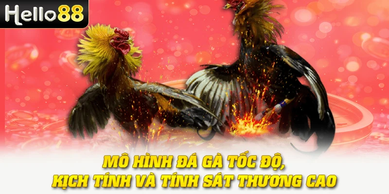 Đá Gà Cựa Sắt - Sàn Đấu Của Những Chiến Kê Mạnh Mẽ, Tốc Độ 2 Mô hình đá gà tốc độ, kịch tính và tính sát thương cao