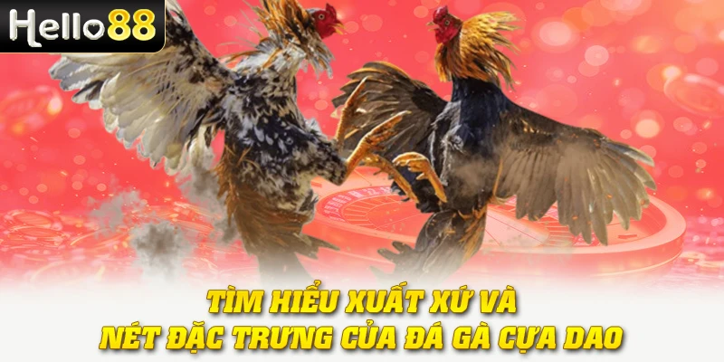 Tìm hiểu xuất xứ và nét đặc trưng của đá gà cựa dao