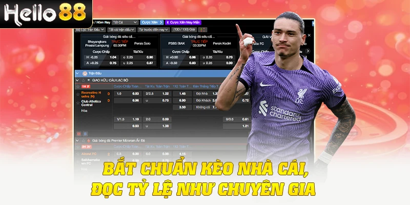 Bắt chuẩn kèo nhà cái, đọc tỷ lệ như chuyên gia